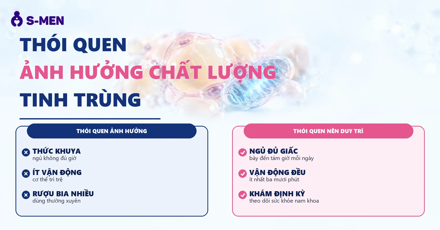 Đồ hoạ tế bào mỡ nội tạng và năng lượng tế bào, nền sáng