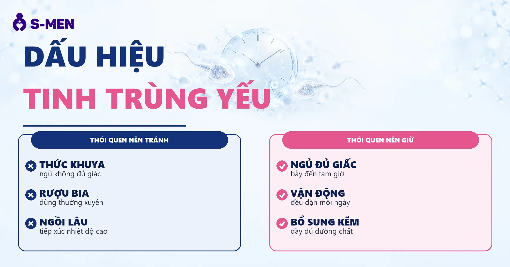 Đồ hoạ tế bào sinh tinh và tinh hoàn mờ, nền sáng