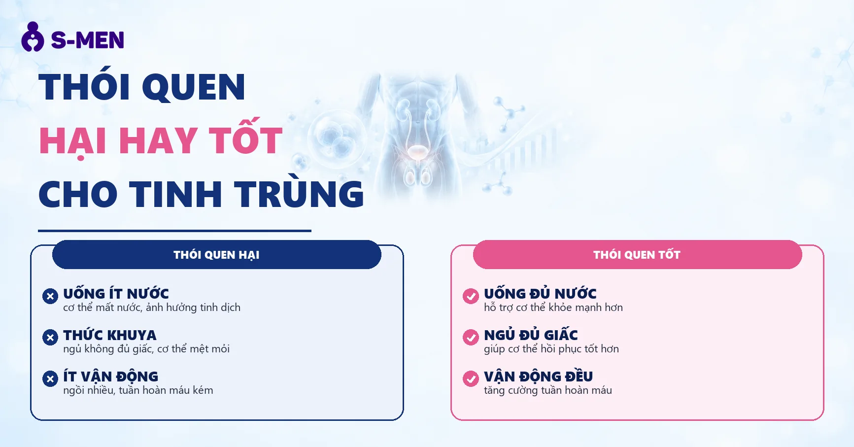 Đồ hoạ cơ thể nam giới và biểu đồ sức khỏe mờ, nền sáng