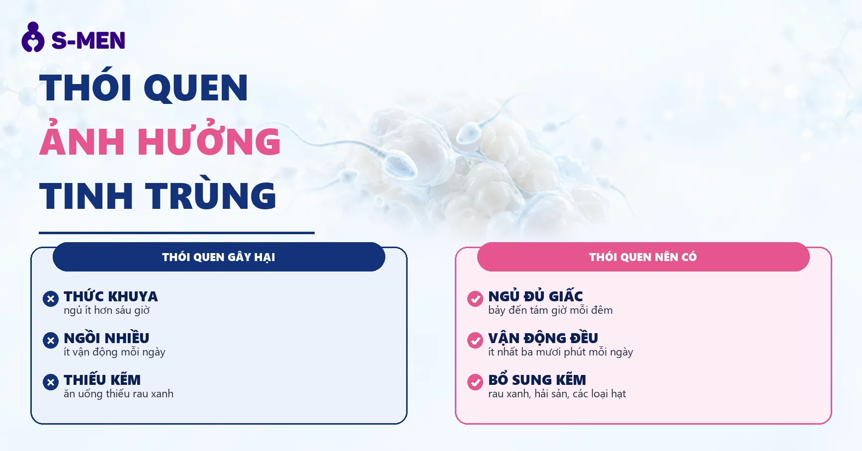 Đồ hoạ tế bào tinh trùng và mô mỡ nội tạng mờ, nền sáng