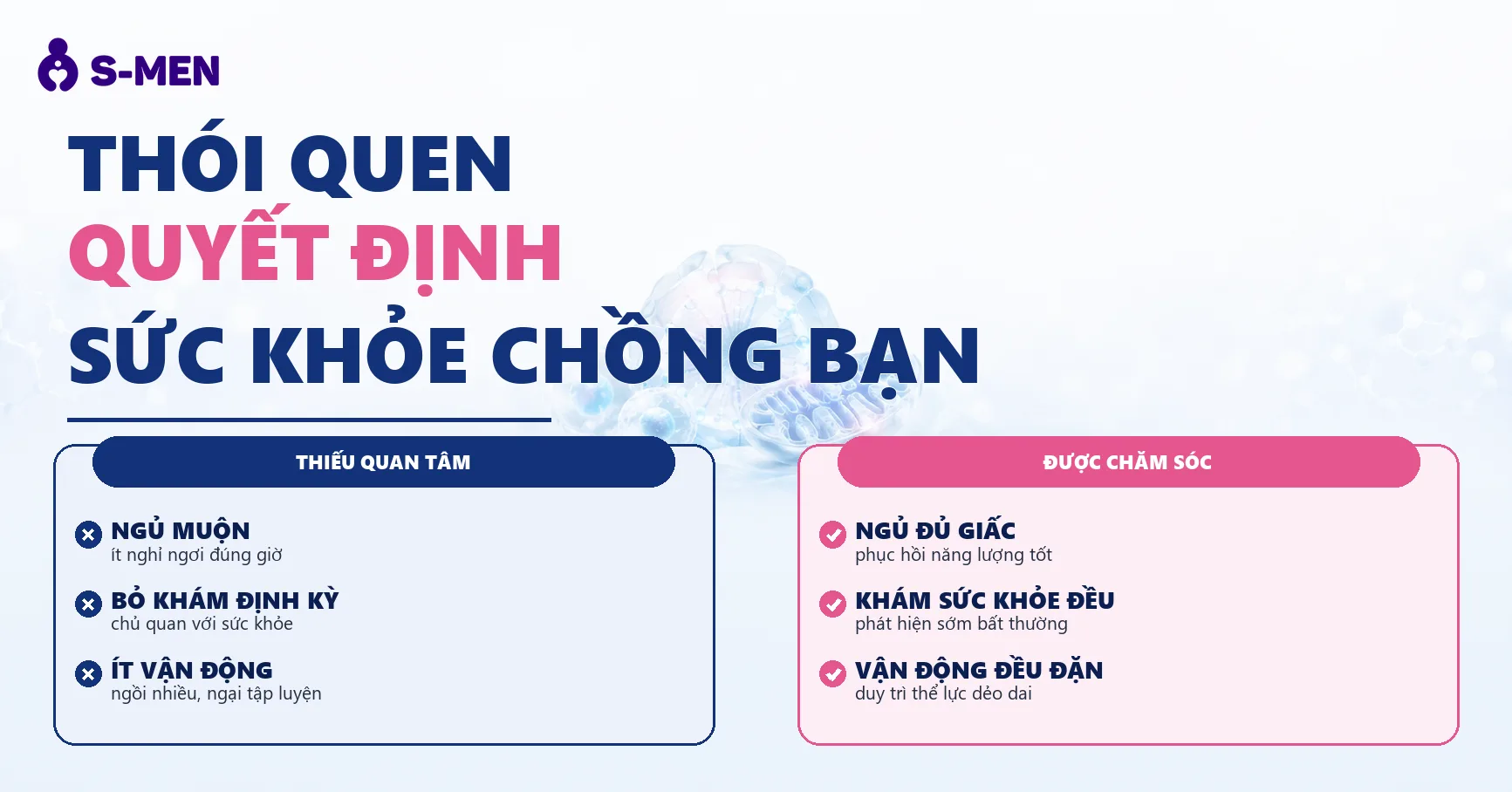 Đồ hoạ đồng hồ sinh học và tế bào năng lượng, nền sáng
