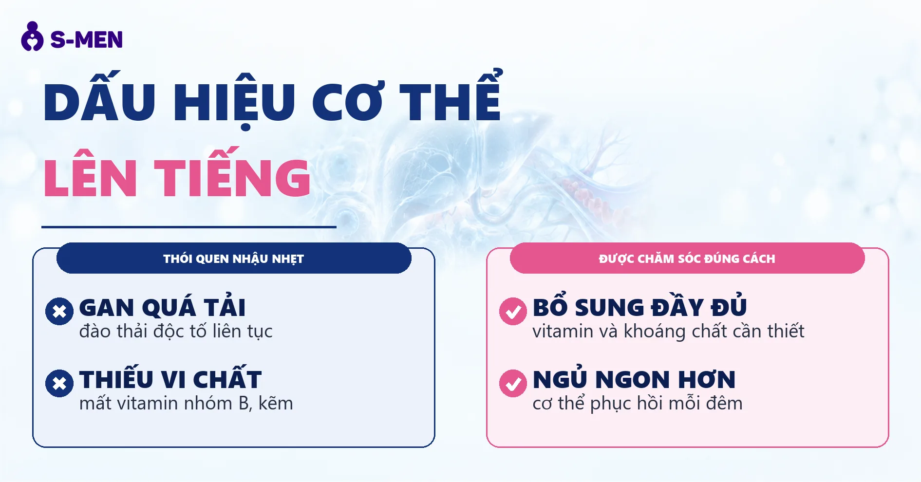 Đồ hoạ gan và tế bào oxy hóa mờ, nền sáng