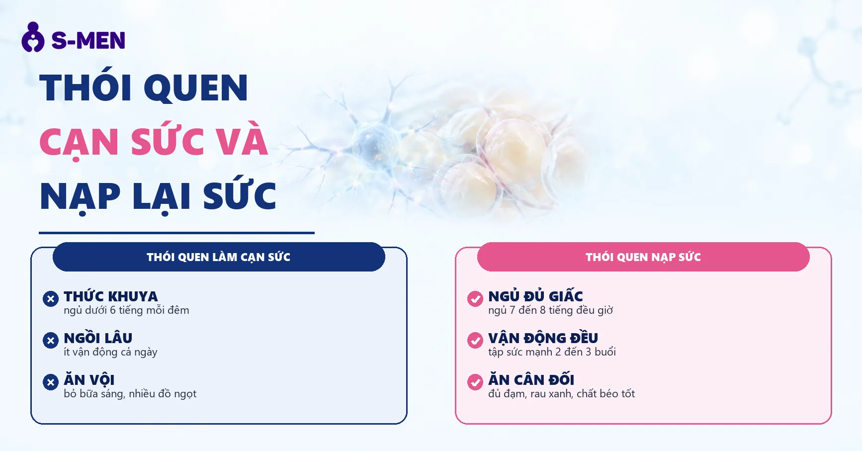 đồ hoạ tế bào thần kinh và mô mỡ nội tạng, nền sáng