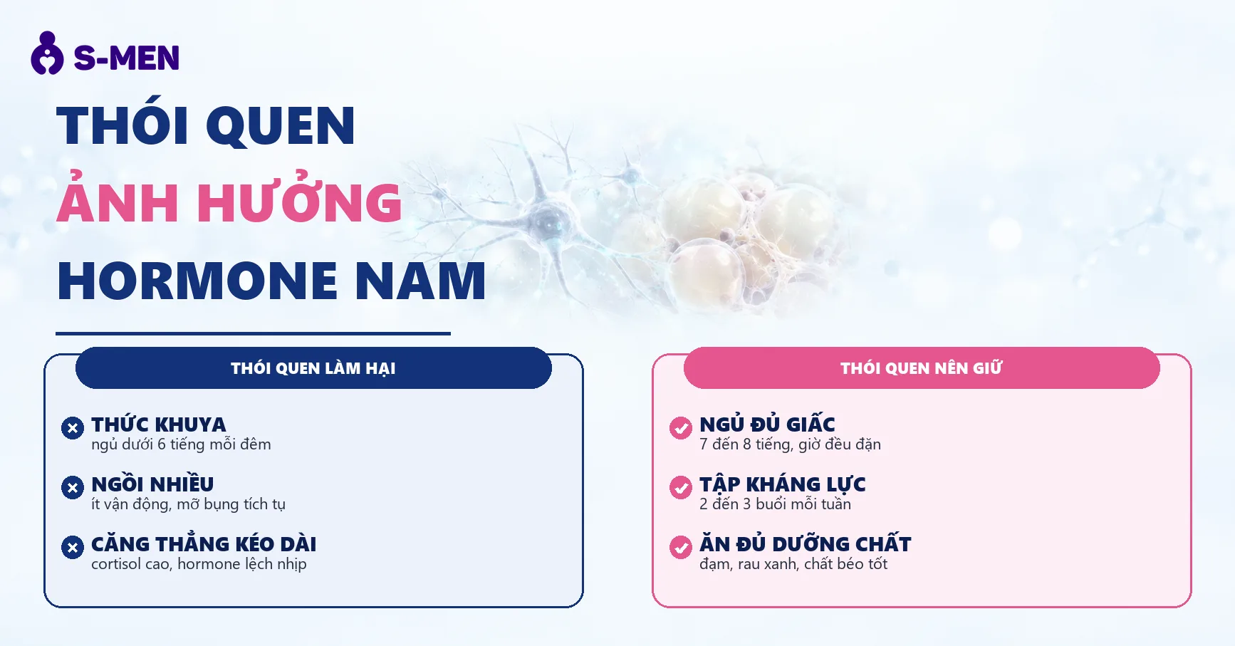 đồ hoạ tế bào thần kinh và mô mỡ nội tạng, nền sáng