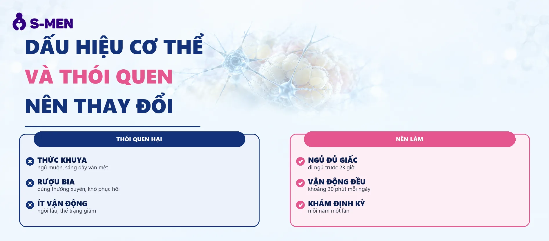 Đồ hoạ tế bào thần kinh và mô mỡ nội tạng, nền sáng