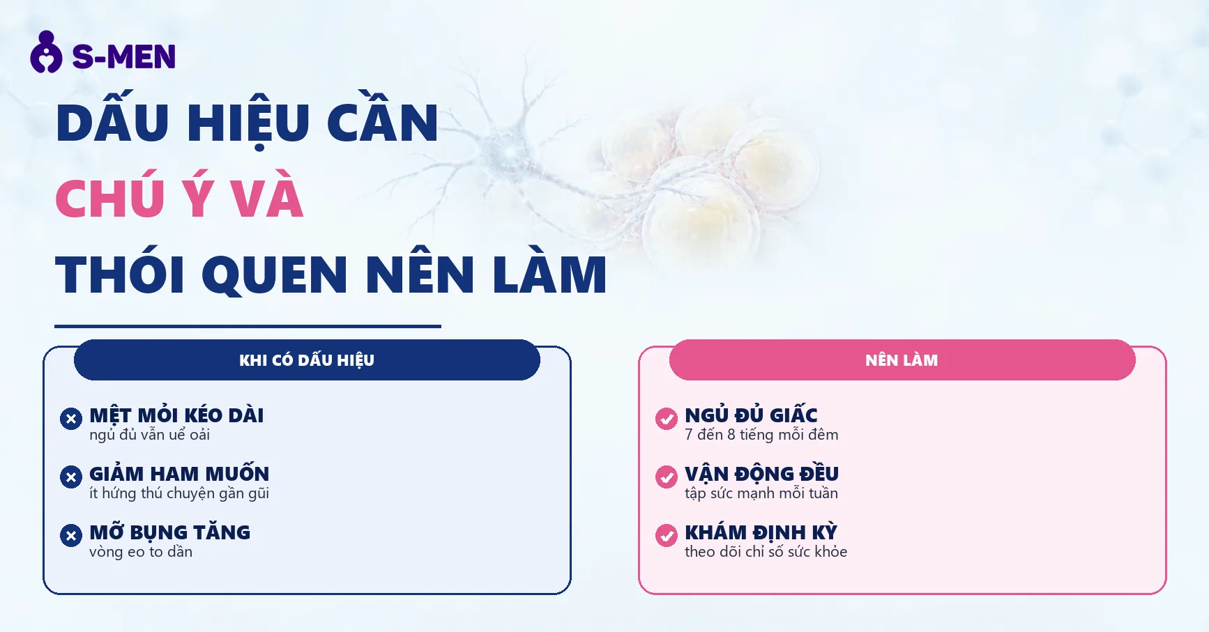 đồ hoạ tế bào thần kinh và mô mỡ nội tạng, nền sáng