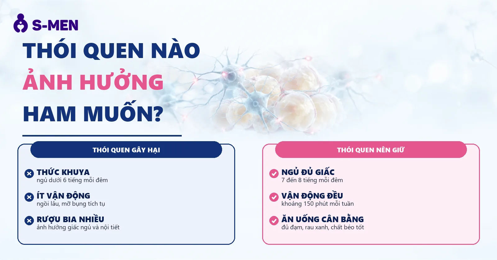 đồ hoạ tế bào thần kinh và mô mỡ nội tạng, nền sáng