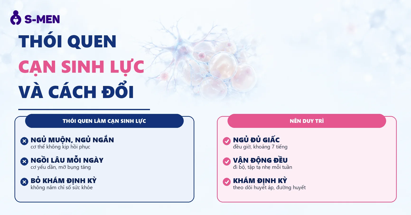 đồ hoạ tế bào thần kinh và mô mỡ nội tạng, nền sáng