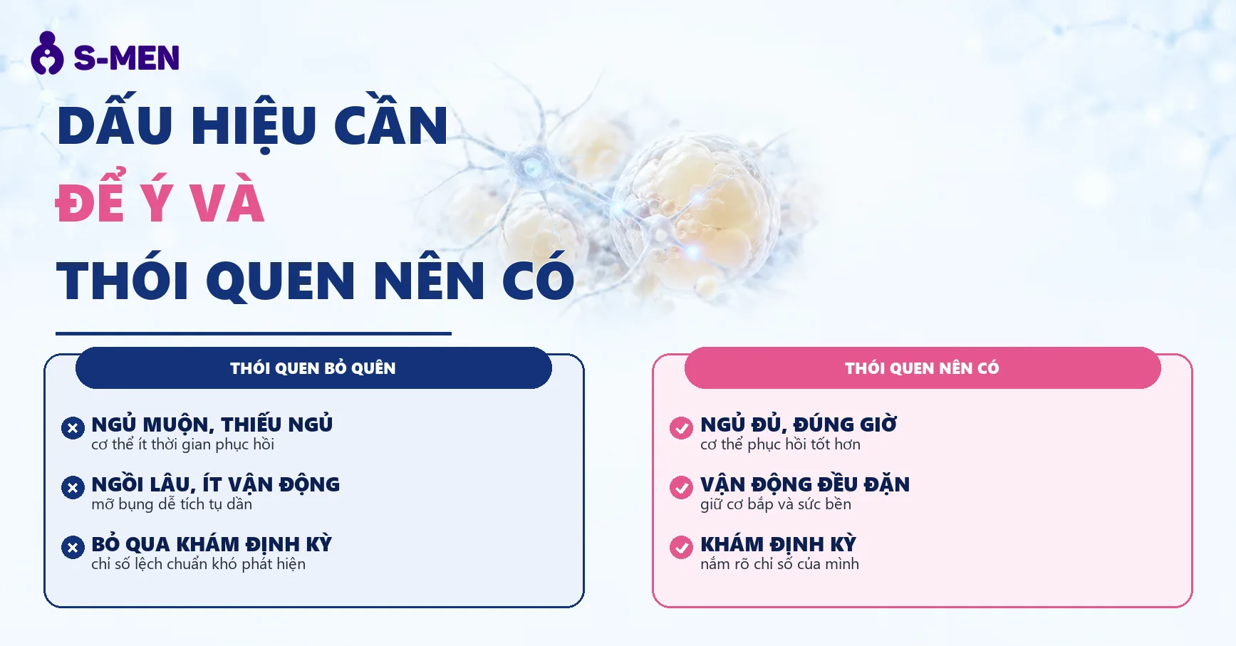 đồ hoạ tế bào thần kinh và mô mỡ nội tạng, nền sáng