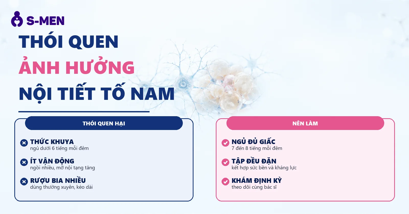 đồ hoạ tế bào thần kinh và mô mỡ nội tạng, nền sáng