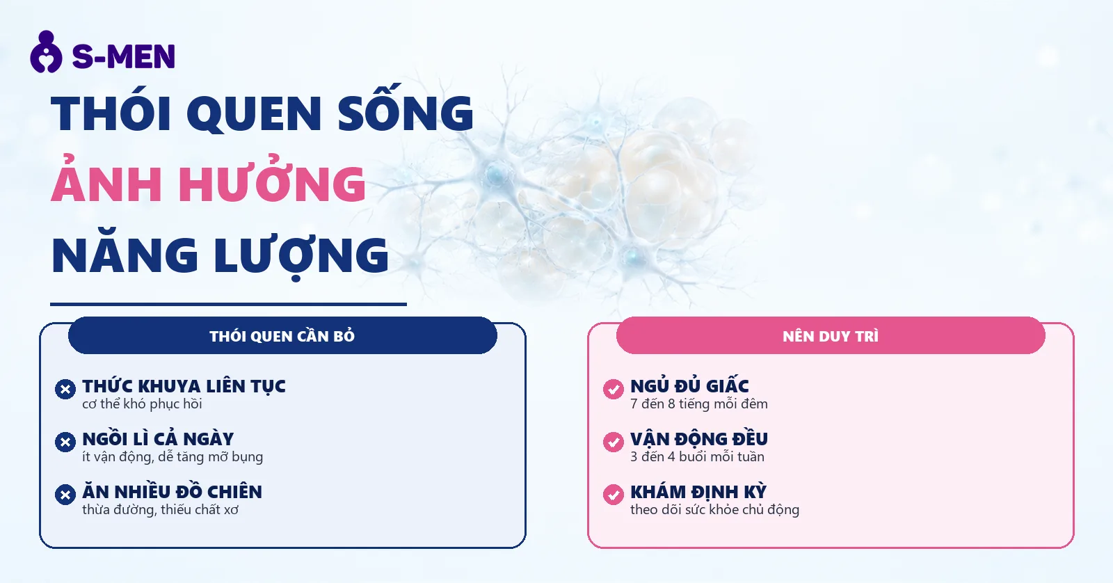 đồ hoạ tế bào thần kinh và mô mỡ nội tạng, nền sáng