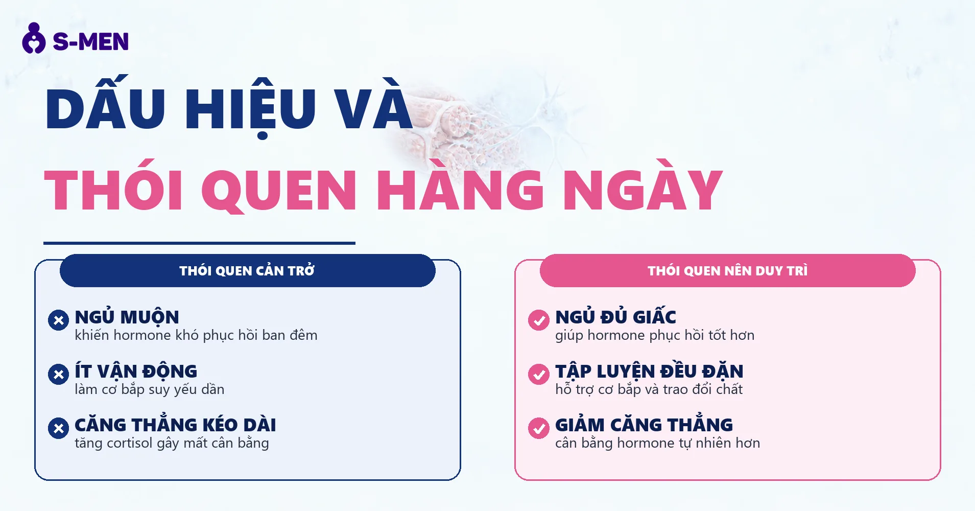 Đồ hoạ cơ bắp và giấc ngủ kém bán trong suốt, nền sáng