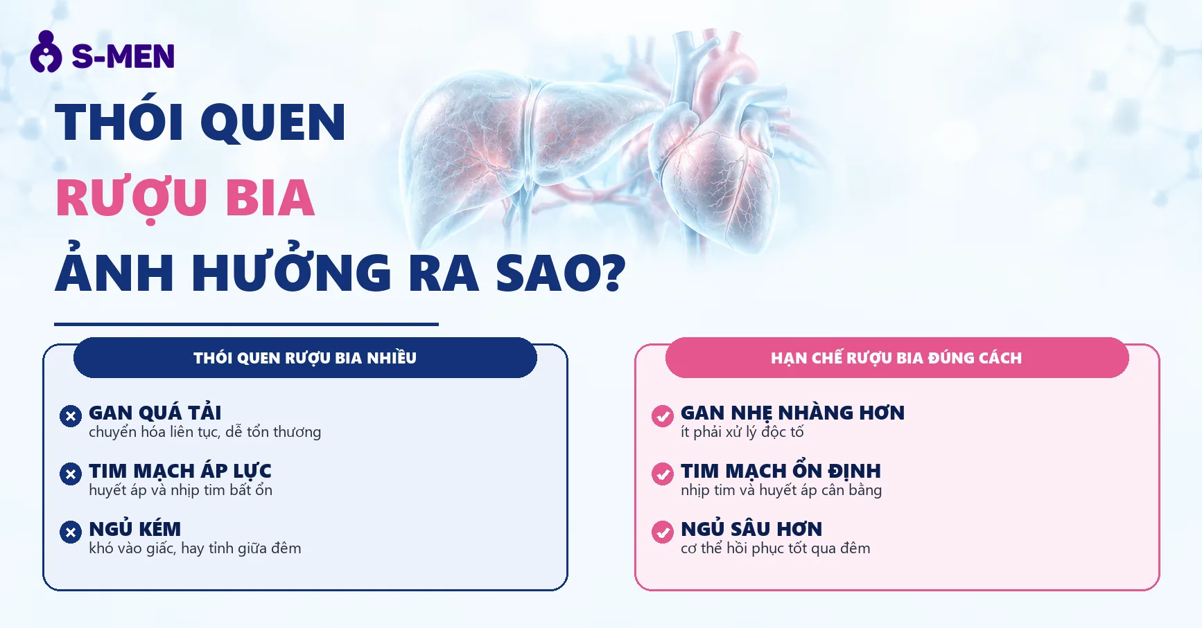 Đồ họa gan và tim mạch bán trong suốt, nền sáng