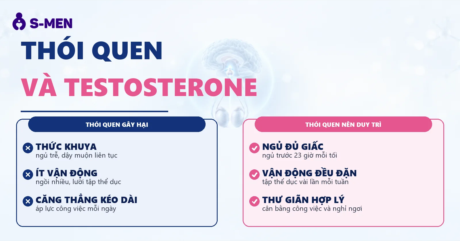 Đồ hoạ tuyến nội tiết và đồng hồ sinh học mờ, nền sáng