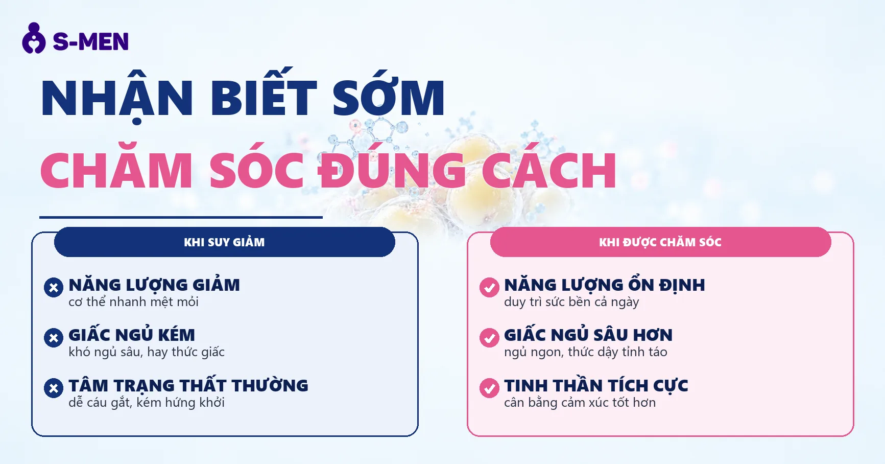 Đồ họa phân tử nội tiết tố và tế bào mỡ bụng, nền sáng