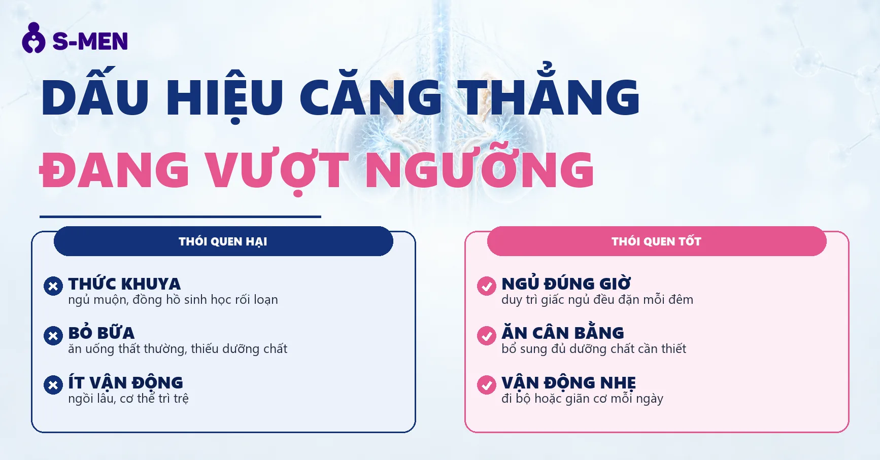 Đồ hoạ não bộ và hệ thần kinh bán trong suốt, nền sáng, không người