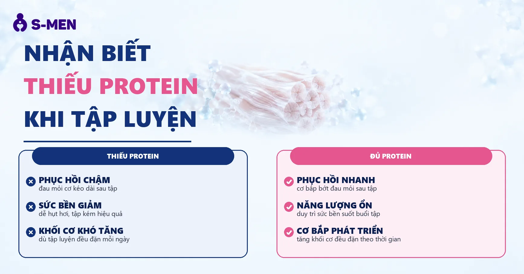 Đồ họa sợi cơ và axit amin protein, nền sáng, không người