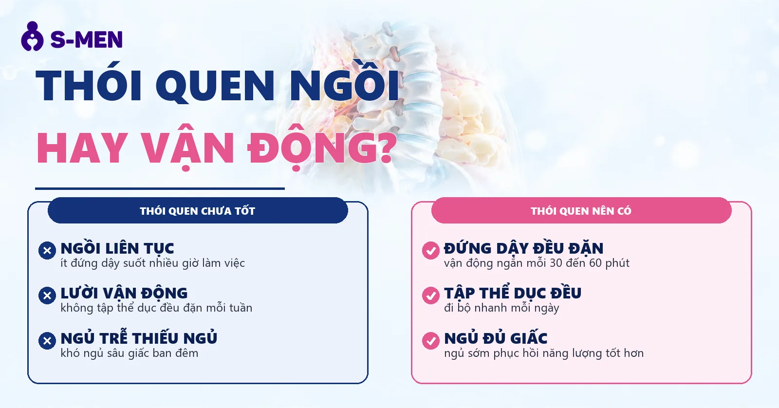 Đồ họa cột sống và mô mỡ bụng bán trong suốt, nền sáng
