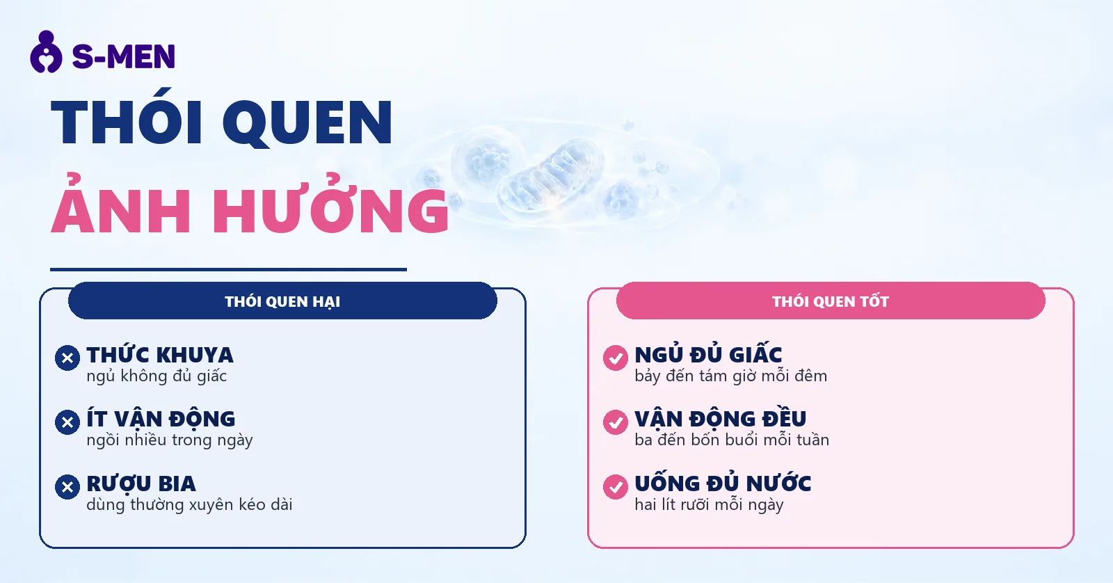 Đồ họa thói quen sinh hoạt và đồng hồ sinh học, nền sáng