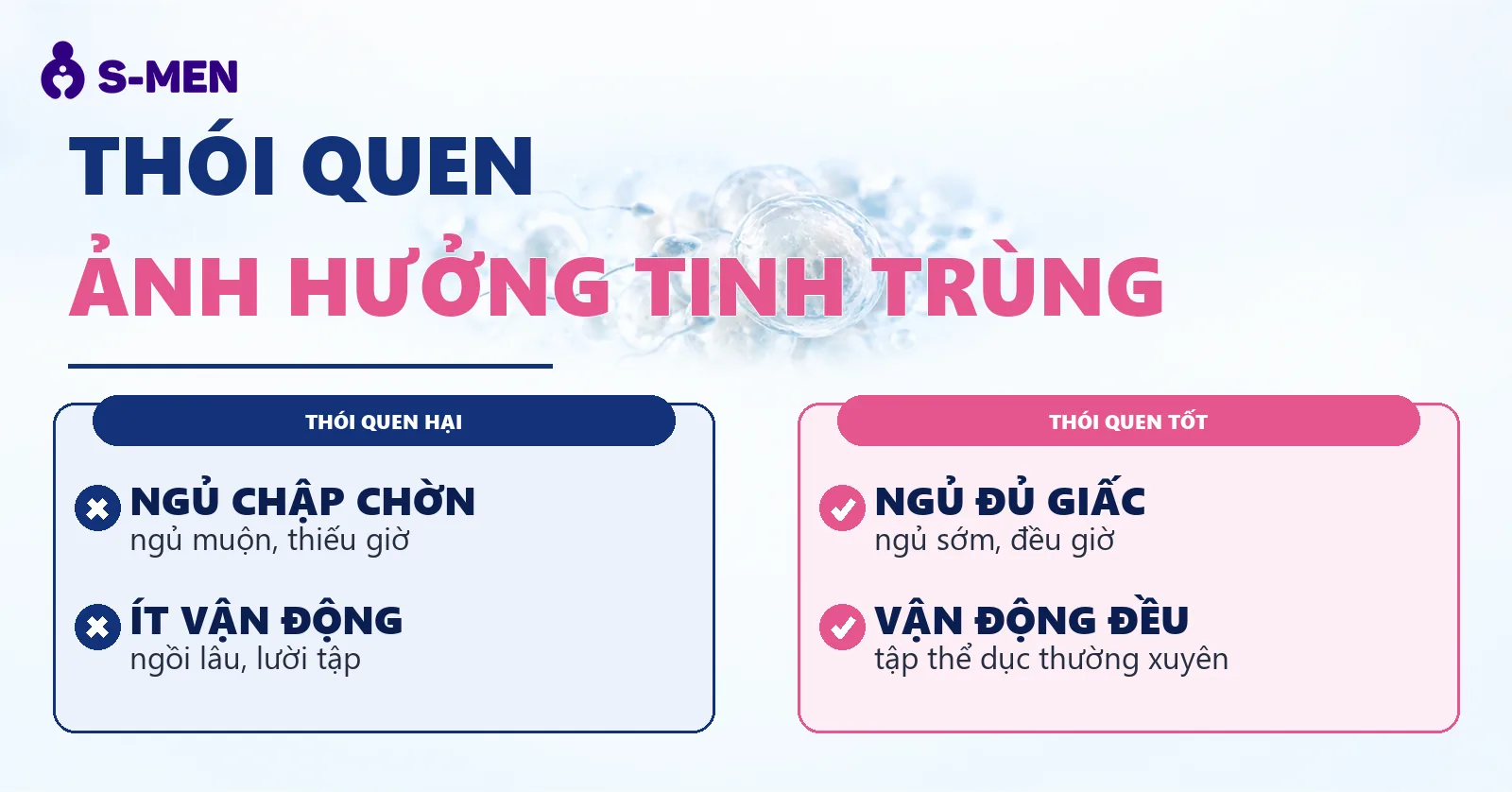 Đồ hoạ tinh trùng và mô mỡ nội tạng bán trong suốt, nền sáng